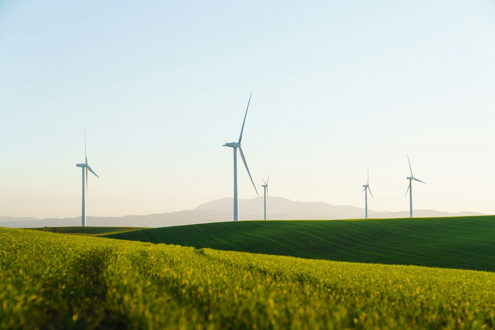 A field of green grass with wind turbines on the horizon